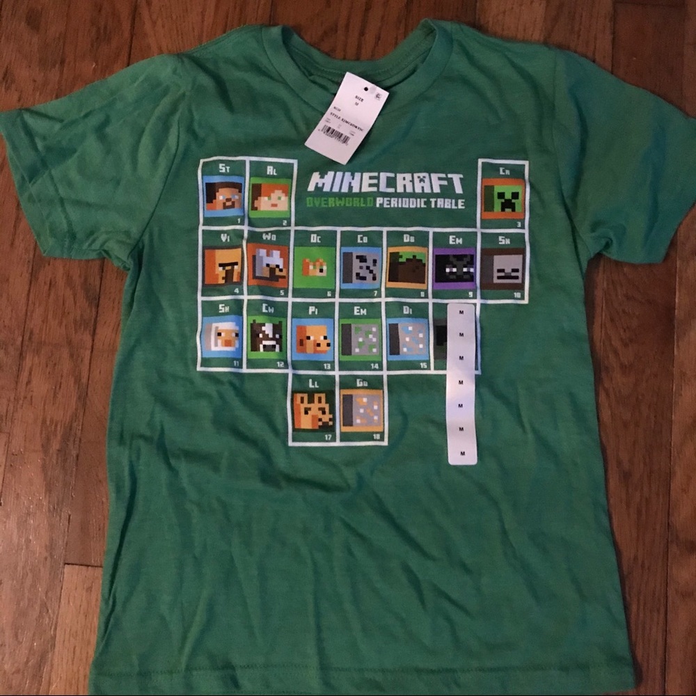 Minecraft T- shirt and sweatpants with tag, brand new.